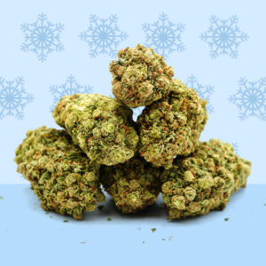 Gefroren ❄️ [Hydrokultur]