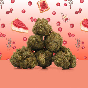 Cheesecake 🍰 [Indoor]