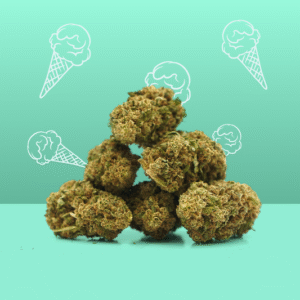 Gelato CBD 🍦 [Indoor].