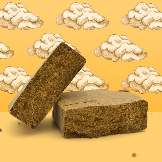 CBD-Schaumstoff ☁️